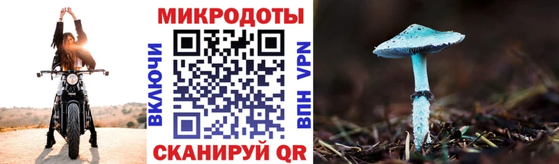 Псилоцибиновые грибы мицелий  купить наркотики цена  Электрогорск 